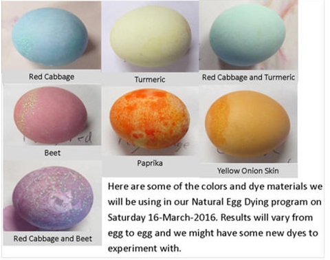 Sterling Nature Center Natural Easter egg dye
